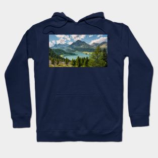 Mountain and forest Hoodie